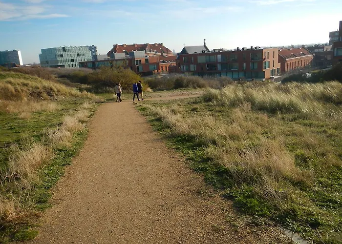 Oostendenachten Appartement *